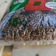 Pellet Woody Pellet